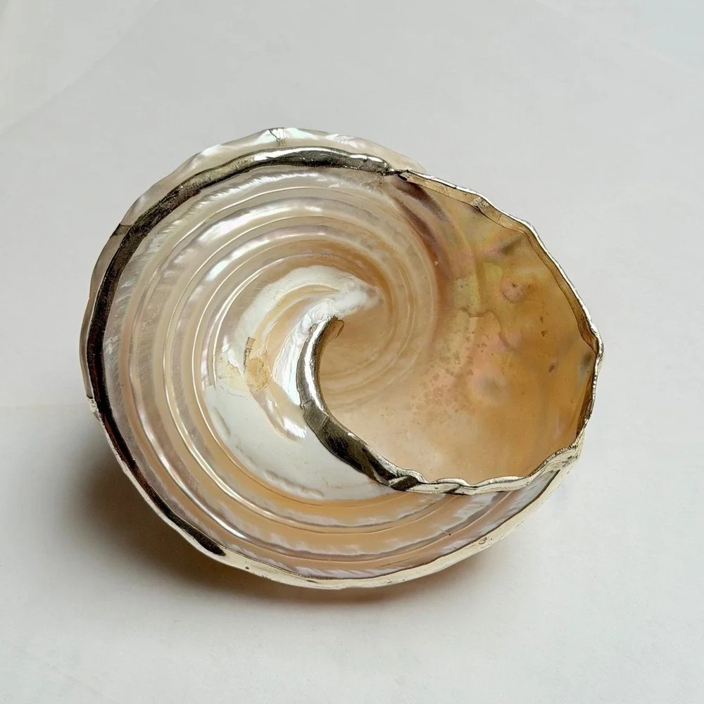 Vintage Iridescent Shell with Silver Metal Overlay Decor Gift Beach Nautical